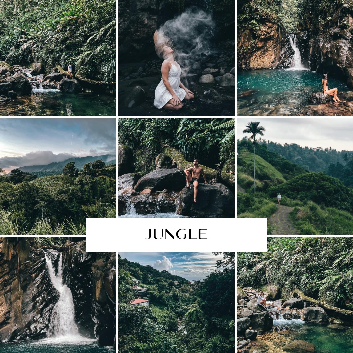 Preset Lightroom - Jungle, wakacje, zieleń, natura