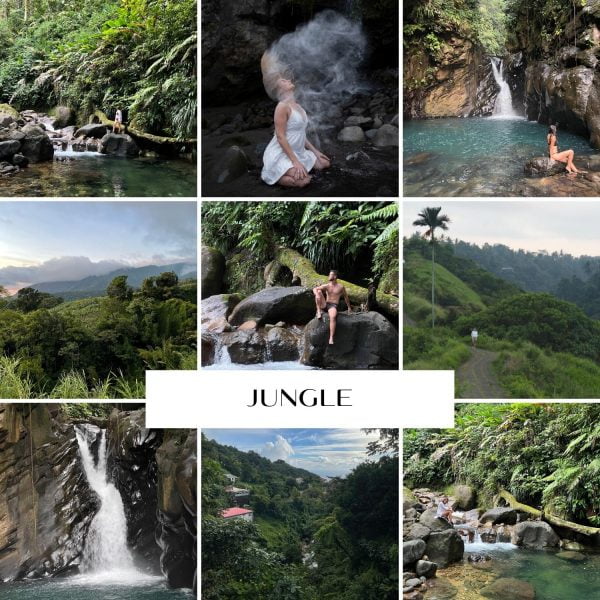 Preset Lightroom - Jungle, wakacje, zieleń, natura